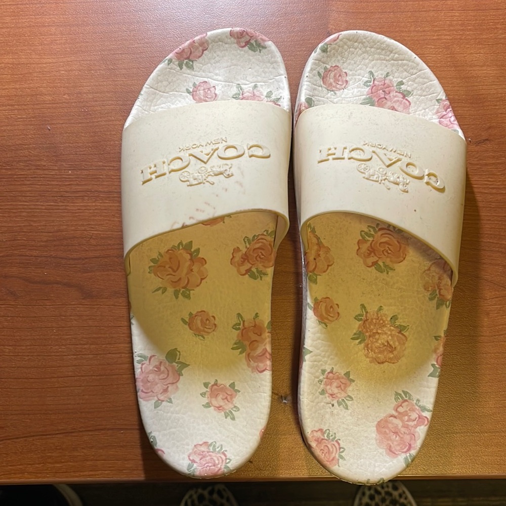 Coach slides